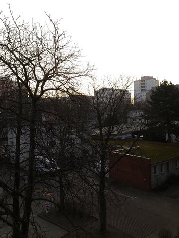 20170219_075032.jpg